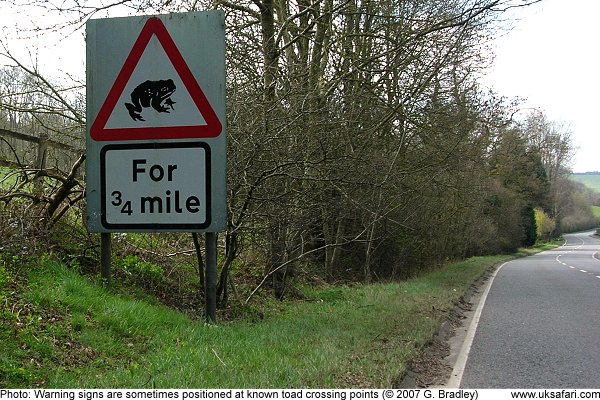 Toads crossing sign