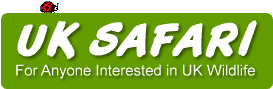 UK Safari - A site for anyone interested in the wildlife of Great Britain and Northern Ireland